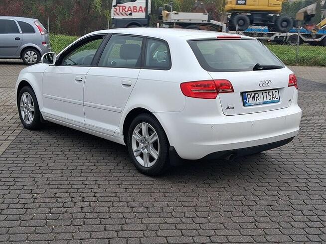 Audi A3 1.6 102 KM Salon Polska TYLKO 106000 KM Przebiegu Kl Słupca - zdjęcie 6