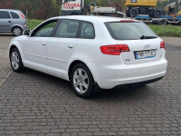 Audi A3 1.6 102 KM Salon Polska TYLKO 106000 KM Przebiegu Kl Słupca - zdjęcie 6