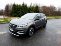 Opel Grandland X 2019r. serwisowany, zadbany.