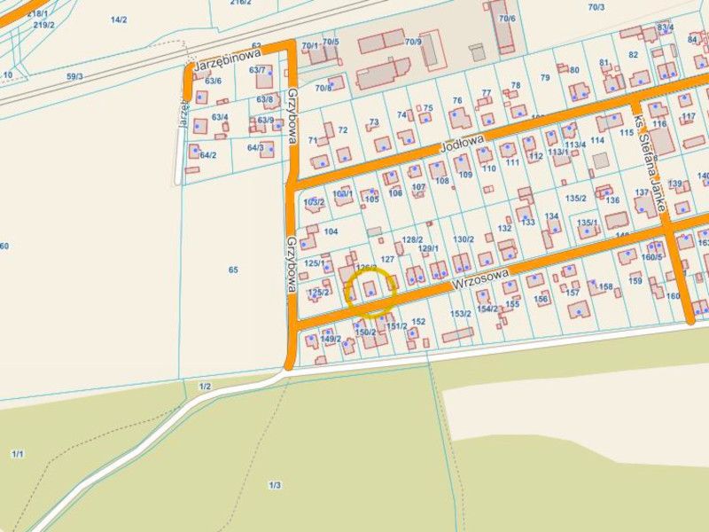 Dom wolnostojący przy granicy z Poznaniem Bogucin - zdjęcie 9