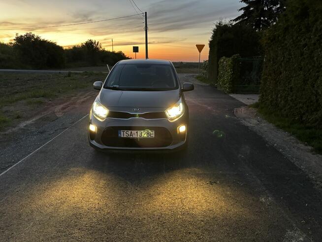 Kia Picanto 1.2 Automat Businessline Sandomierz - zdjęcie 7