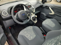 Ford KA Trend Plus 1.2 benzynowy 69 KM FE43257 Warszawa - zdjęcie 9