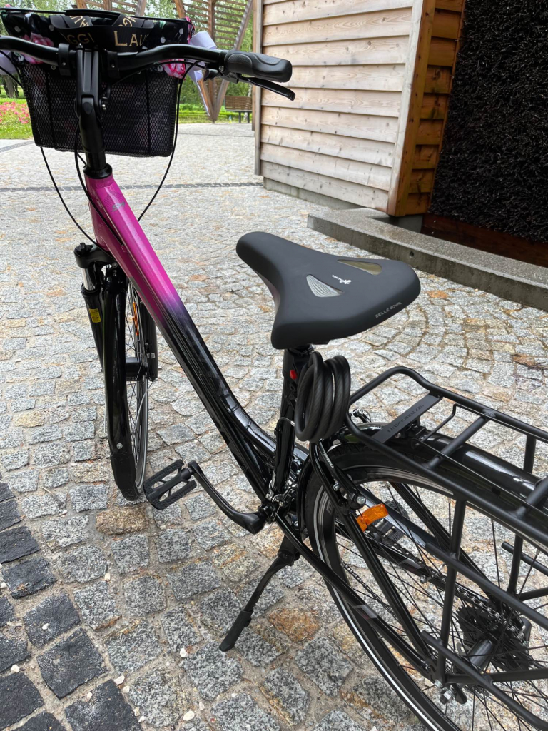 Rower Damski Storm Trekking Żory - zdjęcie 1