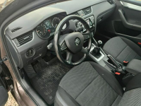 Škoda Octavia TDi*4x4*Niski przebiegm Bibice - zdjęcie 12