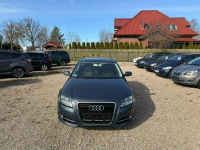 Audi A3 5-Drzwi 2012 Rok 2.0 Diesel 140 KM Ładny Zadbany Samochód Białogard - zdjęcie 3