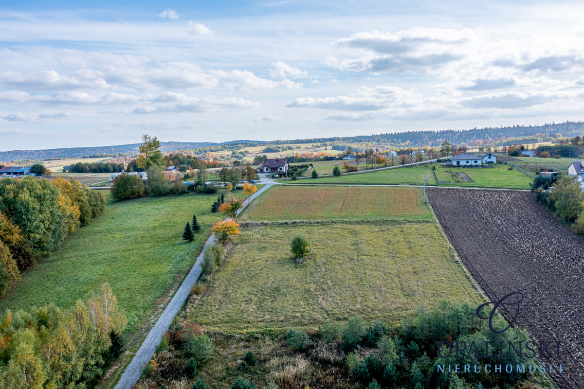 Atrakcyjna | WZ | Panorama | Zaciszne miejsce | Straszydle - zdjęcie 4