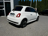 Fiat 500 Salon PL Hey Google Panorama CarPlay Baranowo - zdjęcie 6