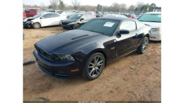 Ford Mustang / 5.0 GT / niski przebieg / wersja Premium /