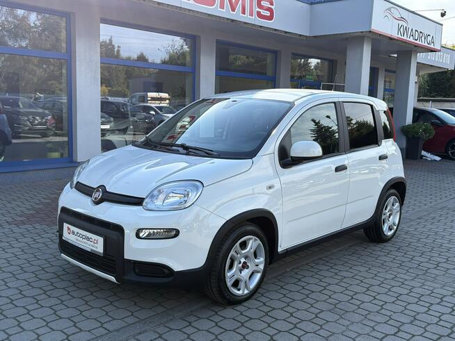 Fiat Panda 12 tyś KM !Klima ,Czujniki, Duże radio, Gwarancja Tarnowskie Góry - zdjęcie 2