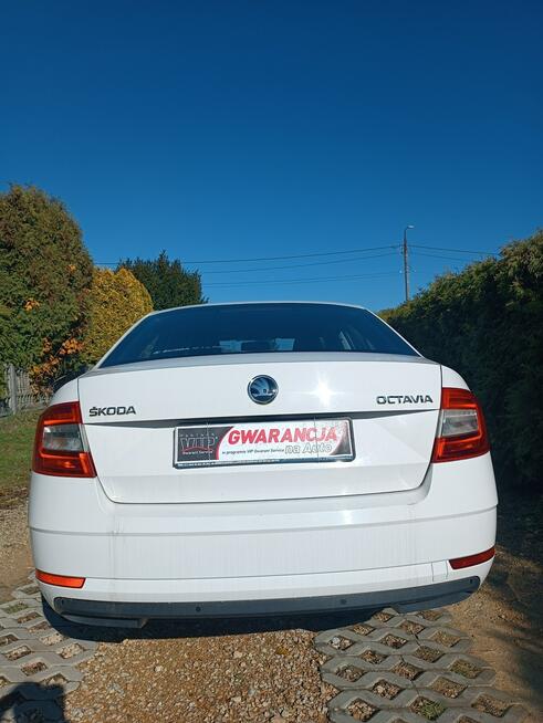 Škoda Octavia krajowa Chełm Śląski - zdjęcie 9