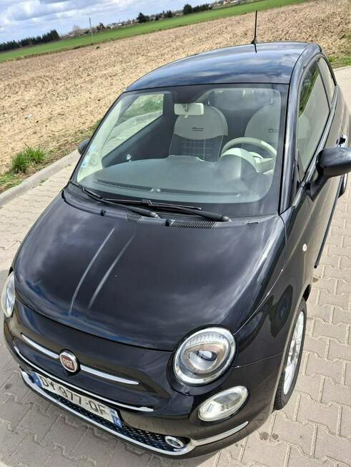 Fiat 500 Pleszew - zdjęcie 2