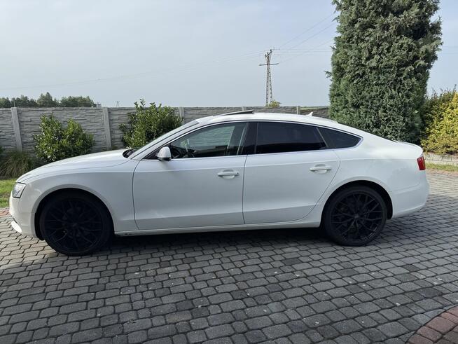 Audi a5 8t sportback 2.0 tdi quattro stronik Jemielnica - zdjęcie 7