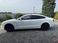 Audi a5 8t sportback 2.0 tdi quattro stronik Jemielnica - zdjęcie 7