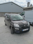 Fiat panda 3 TANIO Głuszyna - zdjęcie 3