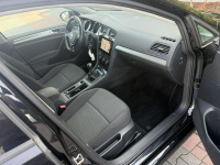 Volkswagen Golf Zielona Łąka - zdjęcie 9