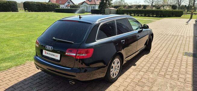 Audi A6 AUTOMAT-LED-SKORA Paproć - zdjęcie 10