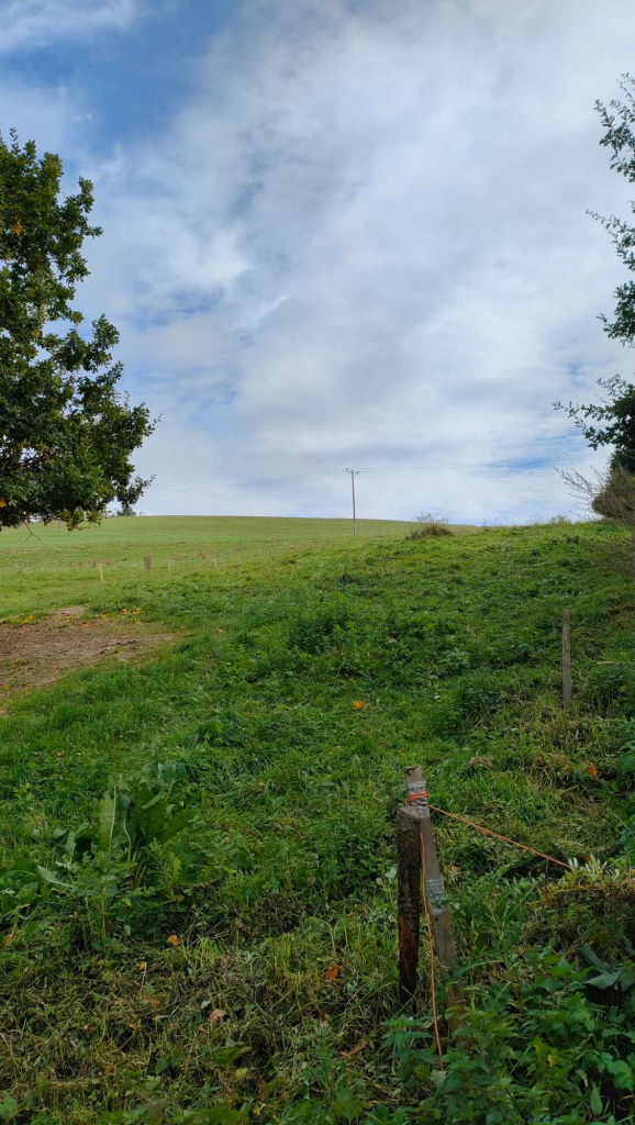 Działka rolna 28 ha. Brzuska - zdjęcie 8