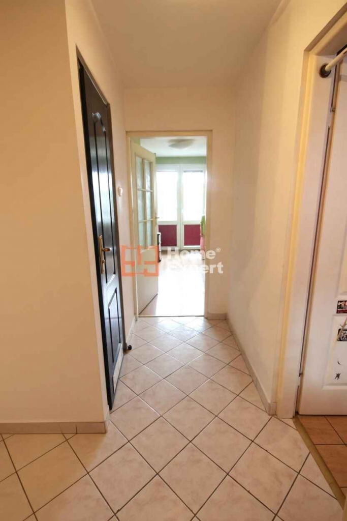 2pok, 35met, okolice Piaskowej ROZKŁAD/PIWNICA (Wrocław) Stare Miasto - zdjęcie 7