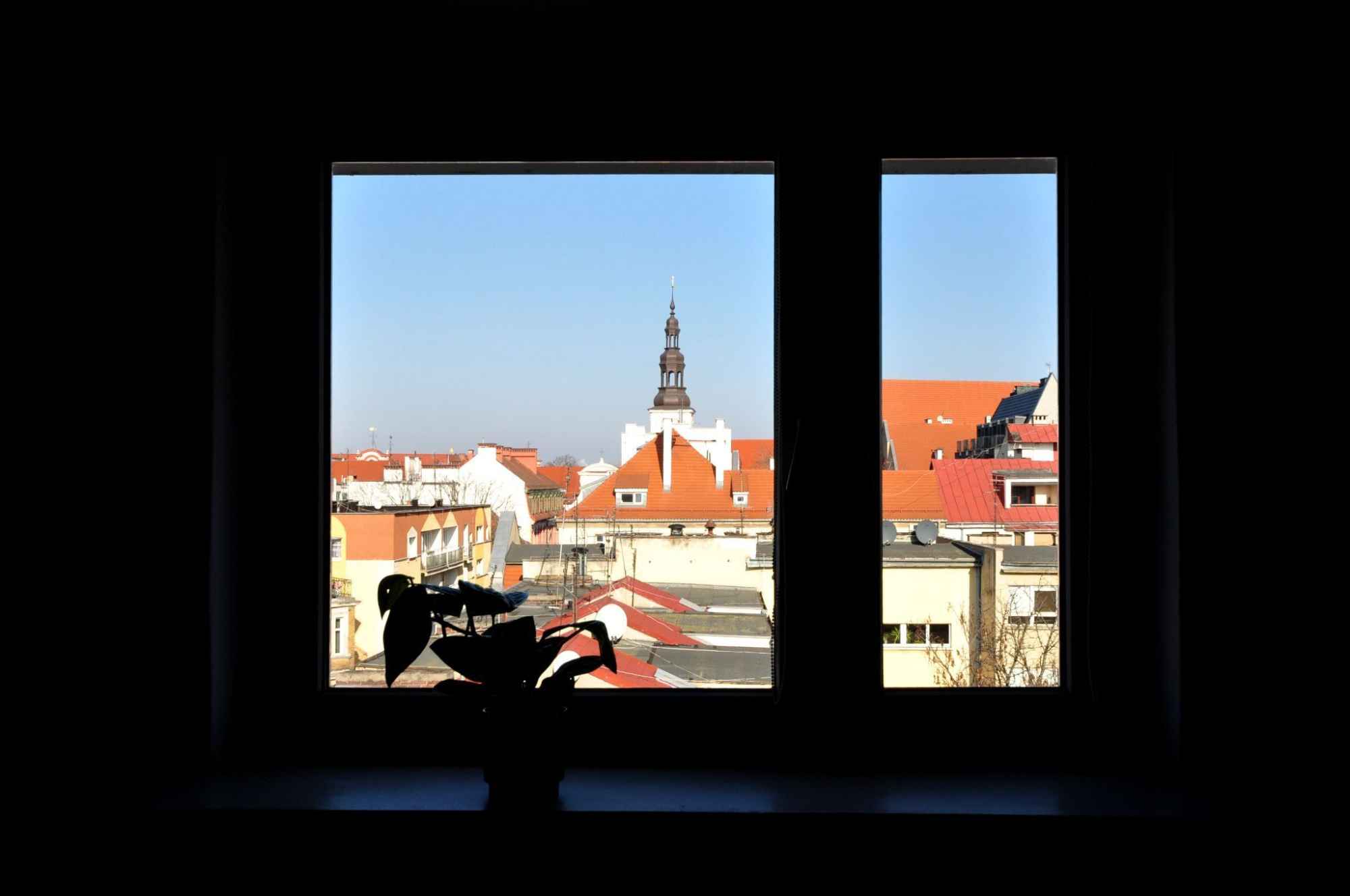 2pok, 37met, Okolice Kuźniczej BALKON/KOMÓRKA/WINDA (Wrocław) Stare Miasto - zdjęcie 8