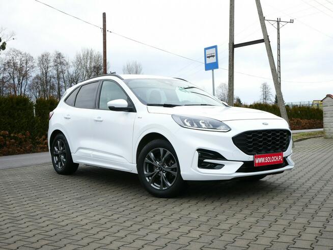 Ford Kuga 2.0 EcoBlue 120KM Eu6 St-Line -Automat 8b. -Zobacz Goczałkowice-Zdrój - zdjęcie 9