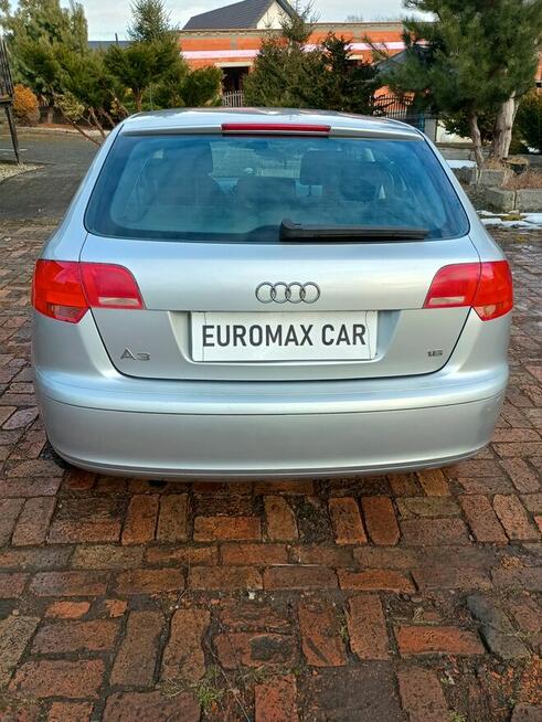 BARZO ZADBANE Audi A 3 benzyna 1,6 !!! Ruda Śląska - zdjęcie 5