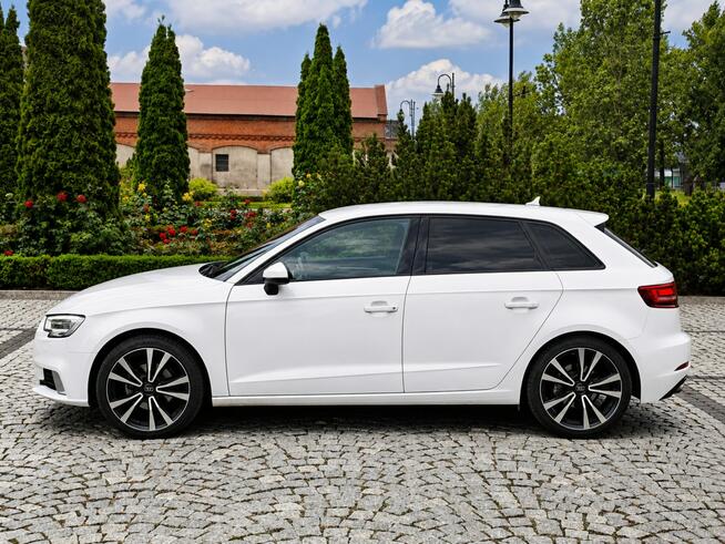 Audi A3 Sadlno - zdjęcie 5