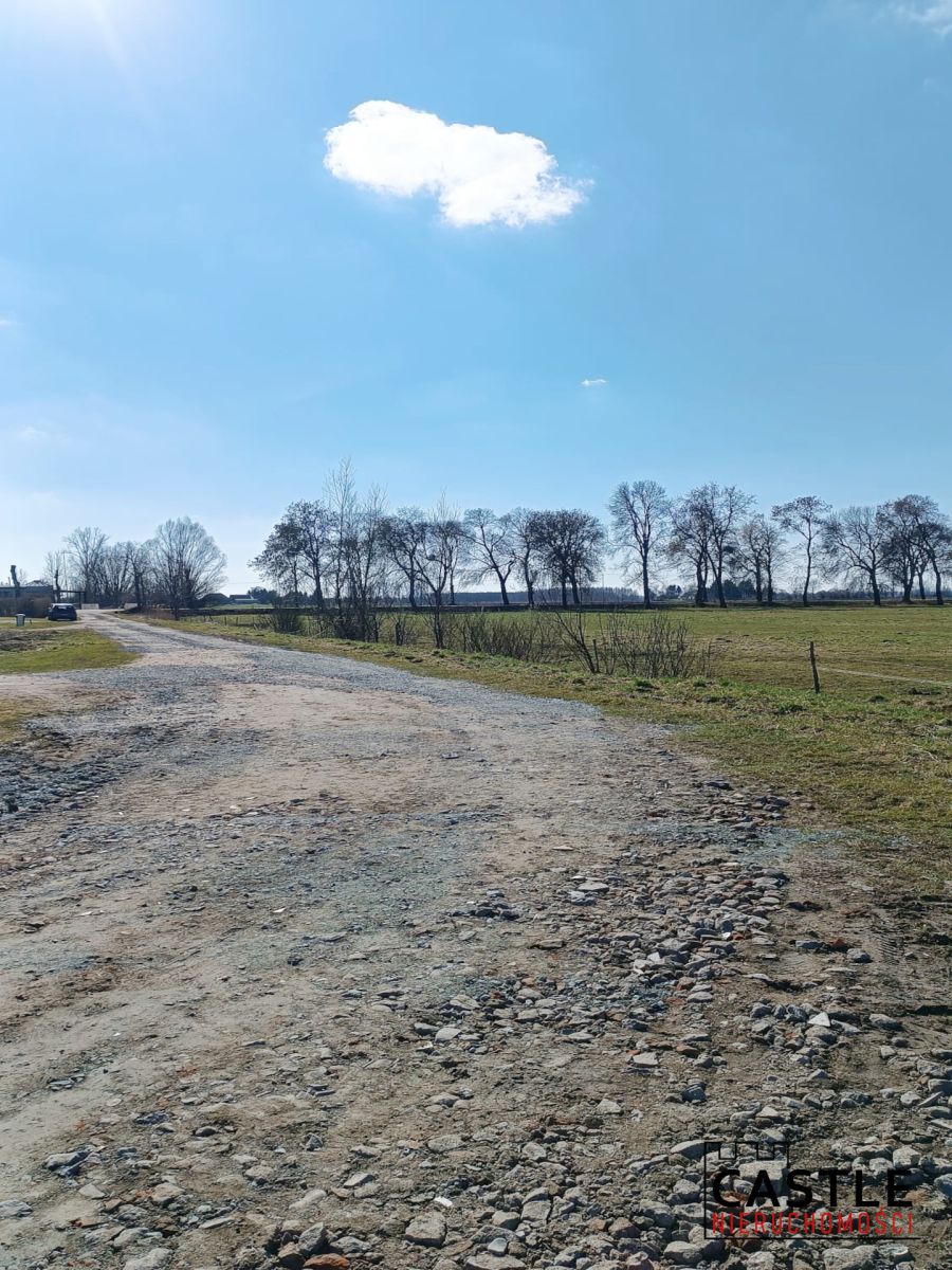 3 działki tylko 17km od Elbląga I Markusy I spokój Markusy - zdjęcie 10