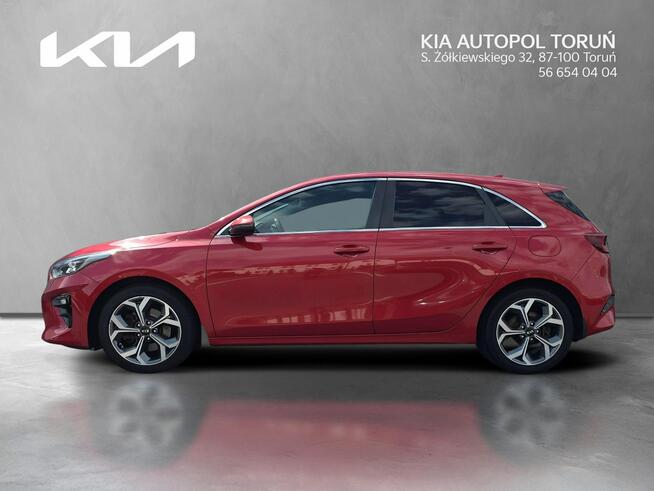 Kia Nowy Ceed Rezerwacja Toruń - zdjęcie 2