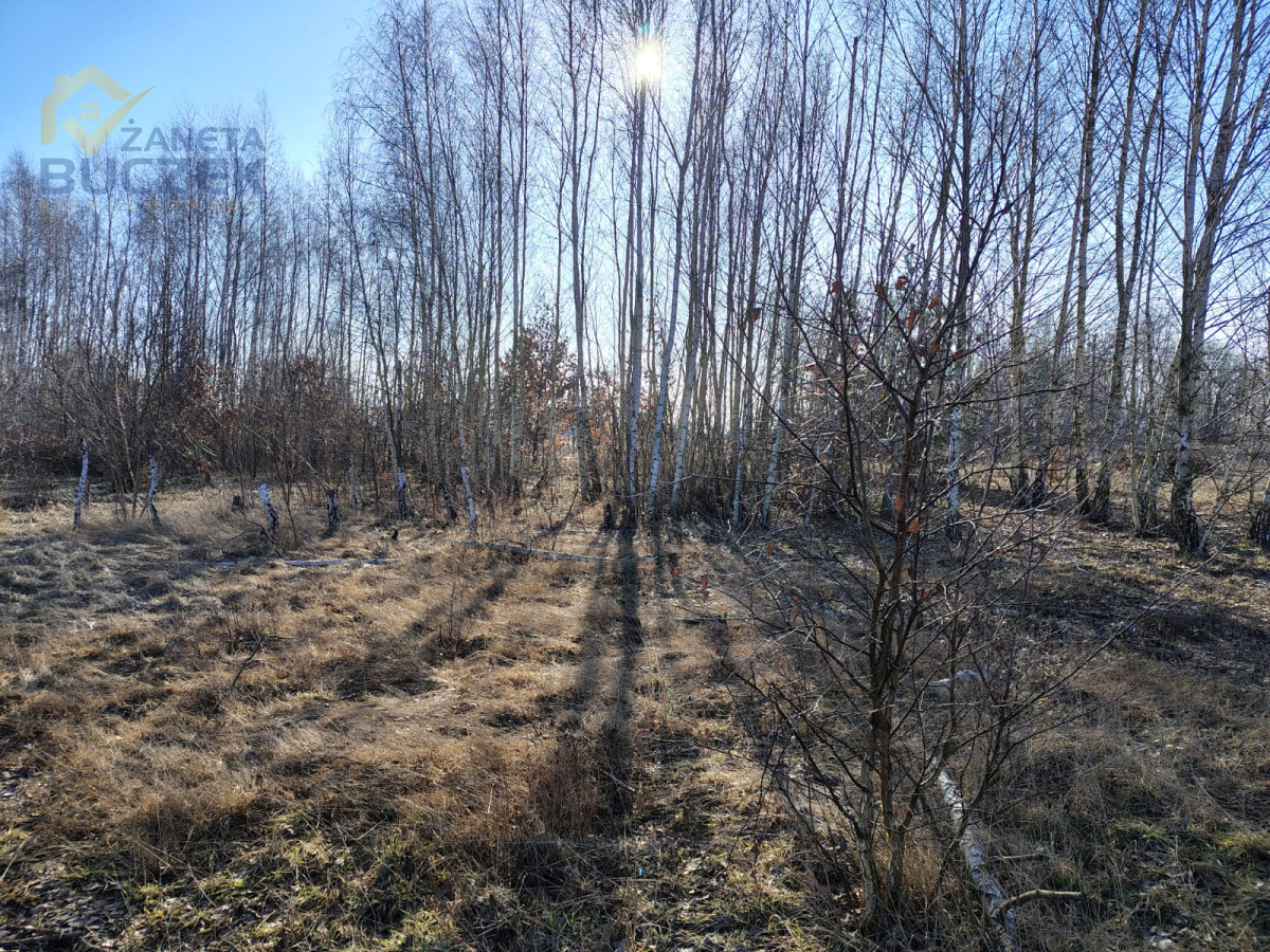 Sprzedam działki budowlane w Nowych Mostkach Nowe Mostki - zdjęcie 8