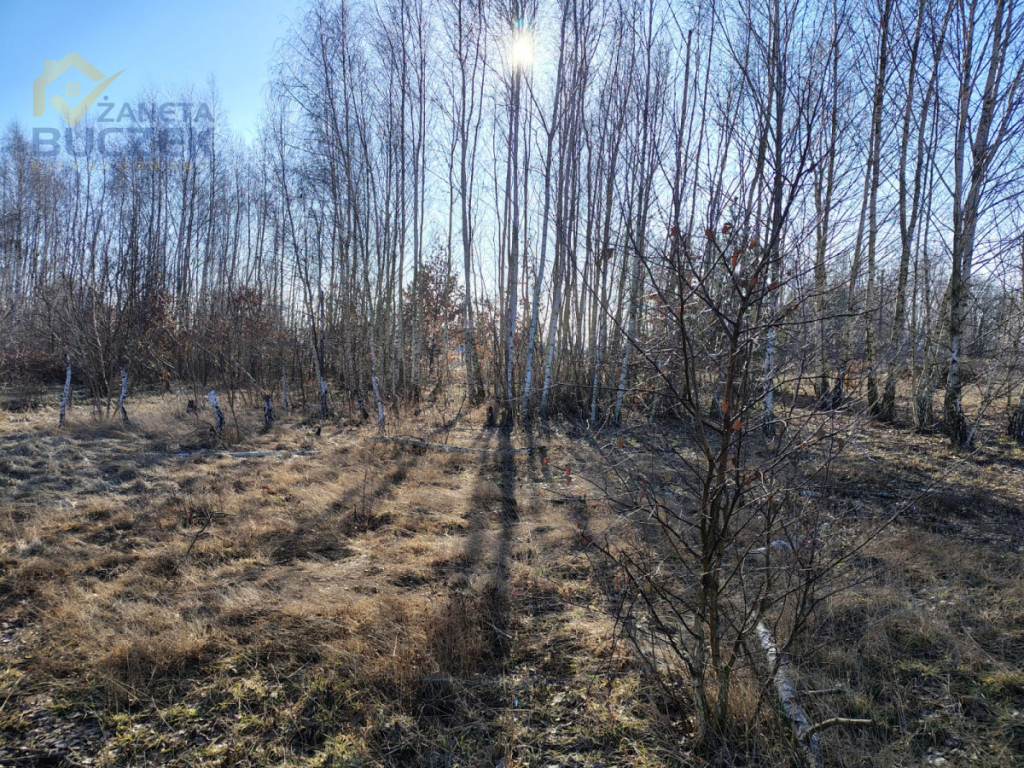 Sprzedam działki budowlane w Nowych Mostkach Nowe Mostki - zdjęcie 8