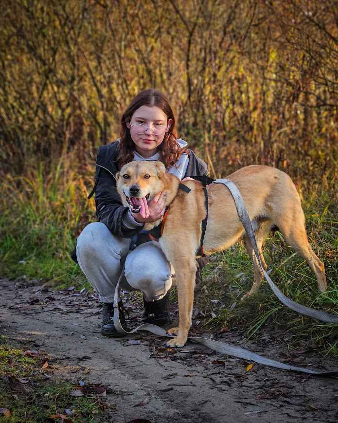 CYNAMON - oddany z adopcji jak niepotrzebna zabawka, POMOCY! Widzew - zdjęcie 6