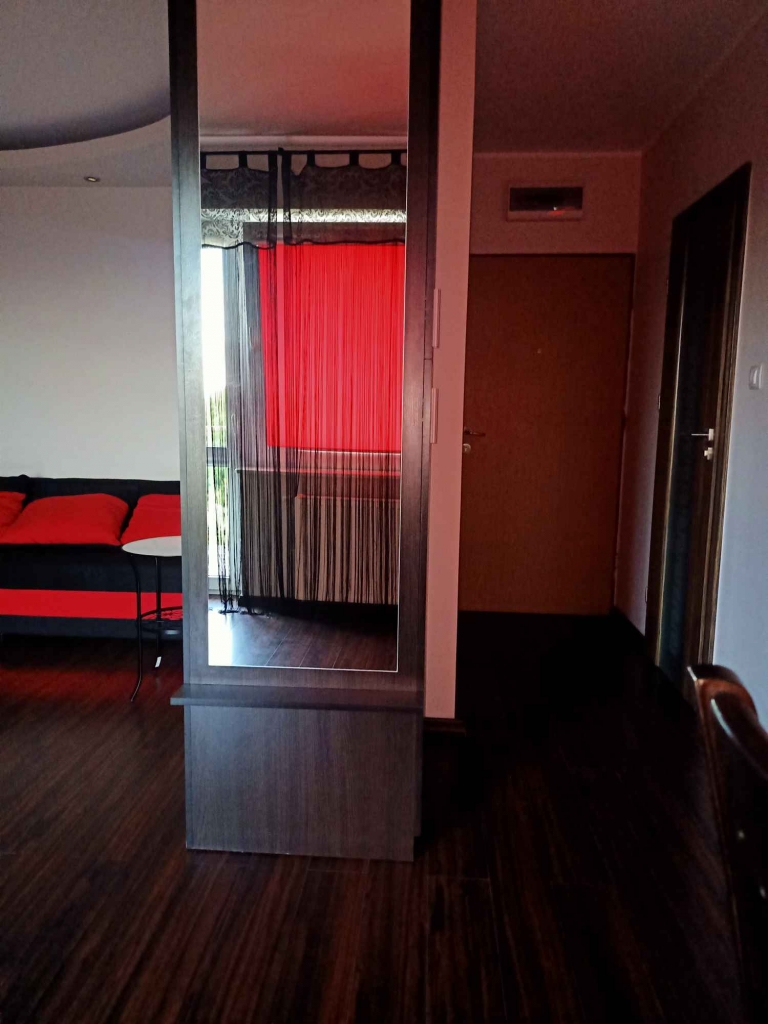 Urokliwa kawalerka na wynajem Gdańsk - zdjęcie 9