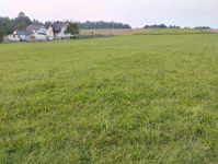 Działka 38 arów Bączal Dolny, gmina Skołyszyn, powiat jasielski Bączal Dolny - zdjęcie 2