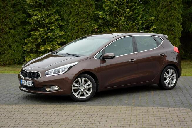 Platinum Lift Navi Ledy Kamera Klimatronic Matrix Braun Alu16 ASO Kia Ostrów Mazowiecka - zdjęcie 3