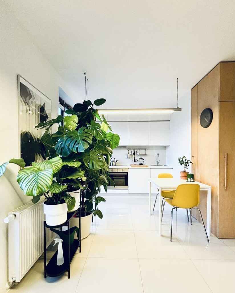 1pok, 33met, okolice Traugutta ANTRESOLA/TARAS/WINDA (Wrocław) Krzyki - zdjęcie 2