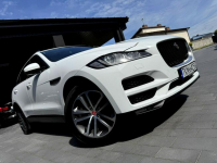 Biały Jaguar Salon Polska Końskie - zdjęcie 2