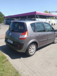 Renault Scenic Malbork - zdjęcie 5
