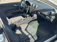 Audi 3 1,6 mpi 102 Konie Xenon tylko 155 tys km Śliczna ! Szerominek - zdjęcie 8