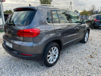 Volkswagen Tiguan AUTO WZÓR,SERWIS,FULL OPCJA Kanie - zdjęcie 9