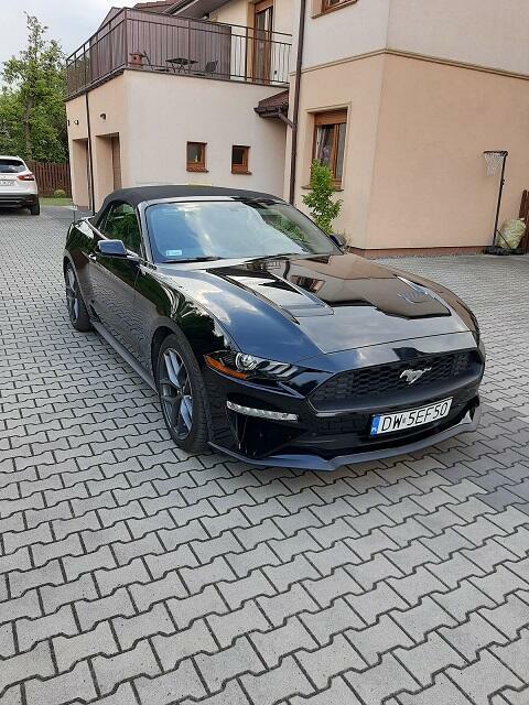 Mustang Kabriolet czarny, śliczny 317 KM Wrocław - zdjęcie 3