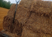 Sprzedam słomę dobrze zbita i zwiazana Pomiechówek - zdjęcie 2