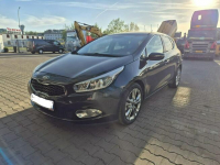 Kia Ceed 1.6 CRDi 128 Platinum Edition