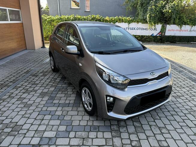 Kia Picanto 1,0 67KM  Klimatyzacja Orzech - zdjęcie 3