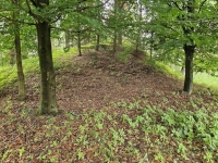 Działka budowlana (6000 m2) JEZIORO/LAS (Drogoszowice) Drogoszowice - zdjęcie 5
