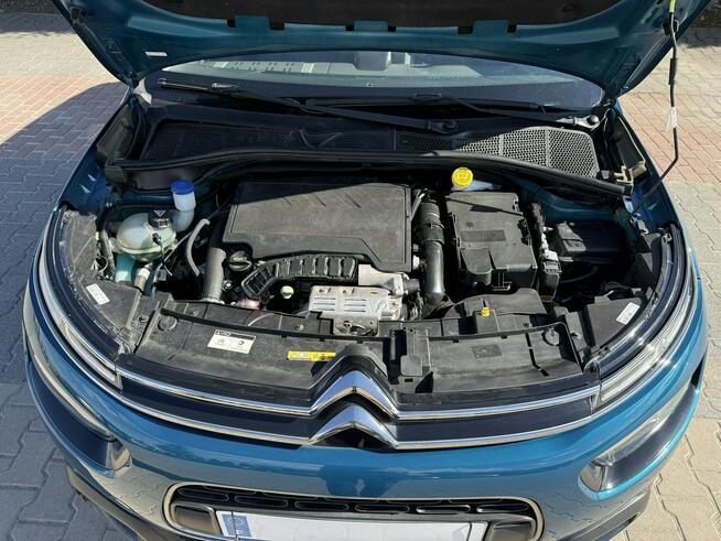 Citroen C4 Cactus Zielona Łąka - zdjęcie 9