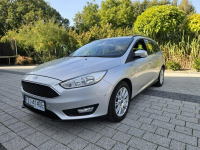 FORD FOCUS 1.6 115 KM EKONOMICZNY