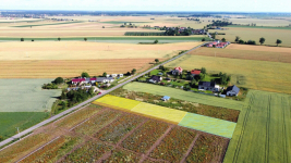 ZNAKOMITA DZIAŁKA, LOKALIZACJA! Tarnowo Podgórne - zdjęcie 5