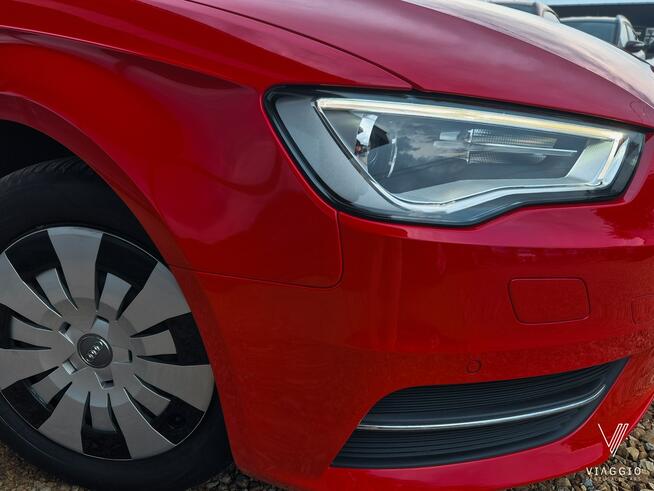 A3 SPORTBACK 1.4 TFSI 122KM bixenon NAV alcantara BEZWYPADEK 2014 Tychy - zdjęcie 3