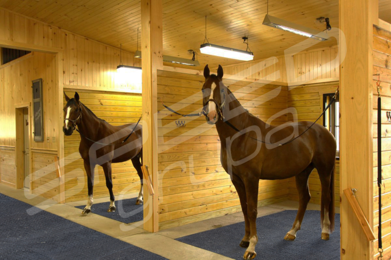 Tymczasowy Chodnik/ Płyty Modułowe 120x80x3 Białołęka - zdjęcie 6