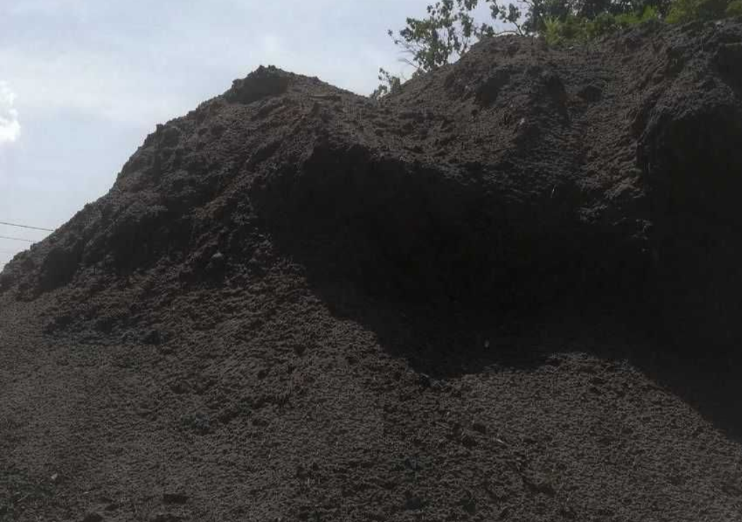 SPRZEDAM ZIEMIA OGRODOWA CZARNA HUMUS RZESZÓW TRZEBOWNISKO ZACZERNIE Rzeszów - zdjęcie 1